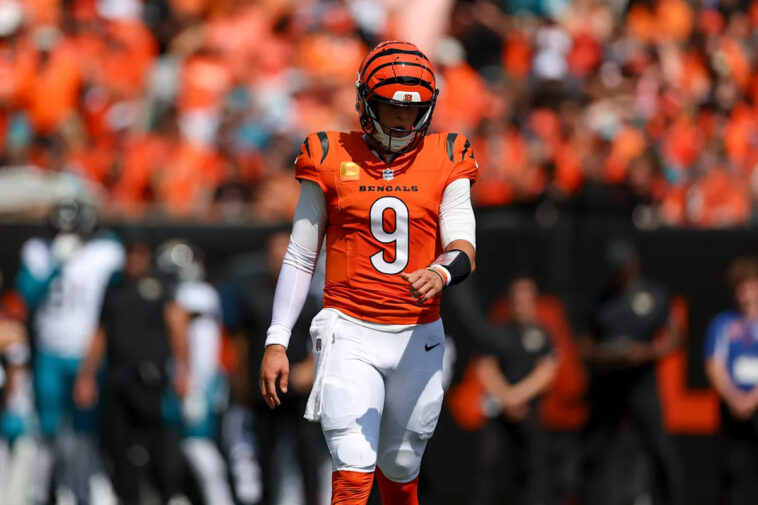bengals-activate-joe-burrow-ahead-of-week-13-thanksgiving-matchup-vs.-ravens