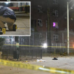 killer-who-fatally-shot-man-in-nyc-brawl-was-called-to-scene-by-his-wife:-da,-sources
