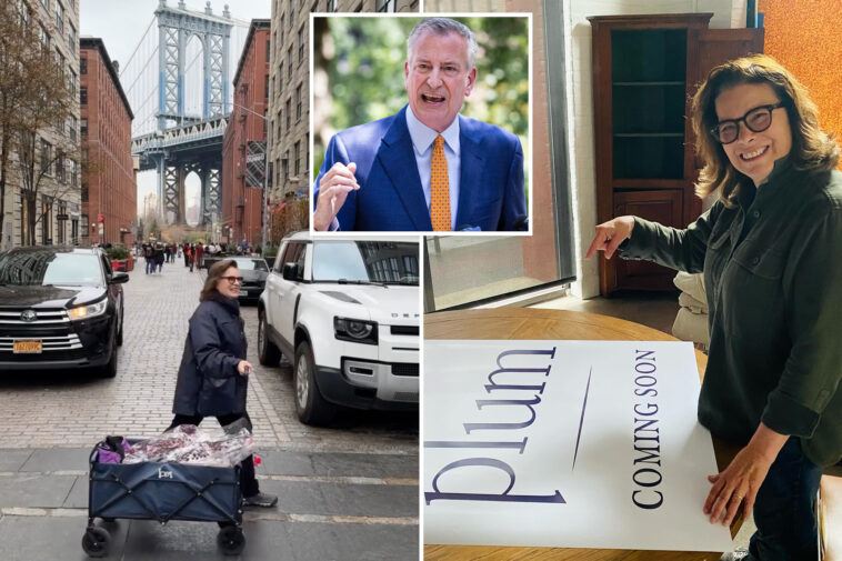 director-of-de-blasio’s-$1b-thrivenyc-boondoggle-runs-trendy-dumbo-boutique-—-and-is-on-zohran-mamdani’s-transition-committee