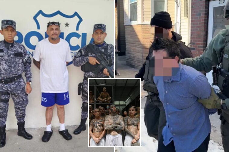 illegal-immigrant-ms-13-leader-shipped-back-to-el-salvador-—-and-could-end-up-in-mega-prison
