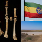 mystery-owner-of-3-million-year-old-fossilized-foot-in-africa-id’d:-study