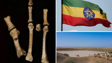 mystery-owner-of-3-million-year-old-fossilized-foot-in-africa-id’d:-study