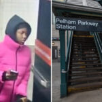 would-be-chain-thief-slashes-woman-with-razor-on-nyc-train-in-latest-transit-chaos:-cops