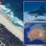 shark-kills-woman-and-seriously-wounds-another-swimmer-at-australian-beach