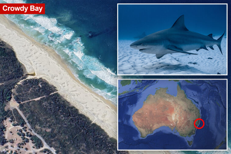 shark-kills-woman-and-seriously-wounds-another-swimmer-at-australian-beach