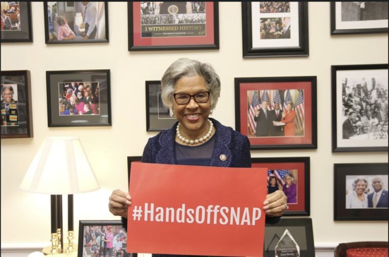 democrats-sue-over-cut-to-snap-benefits-for-non-citizens-and-illegals