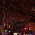 dem-rep-garamendi:-‘dc.-is-a-safe-city’-‘certain-parts’-‘are-no-go-places’