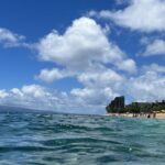 navy-sailor-makes-ultimate-sacrifice-saving-children-from-dangerous-hawaiian-surf