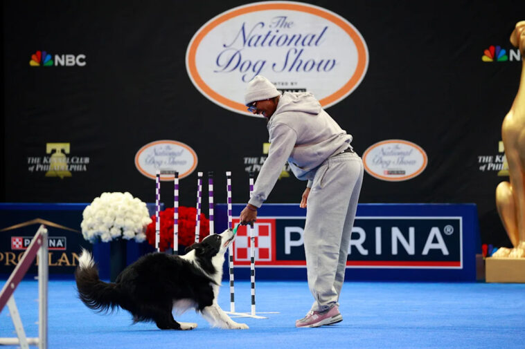 76ers-guard-tyrese-maxey-takes-his-handles-to-the-national-dog-show