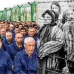 top-uygher-official-says-muslims-stay-silent-on-china’s-persecution