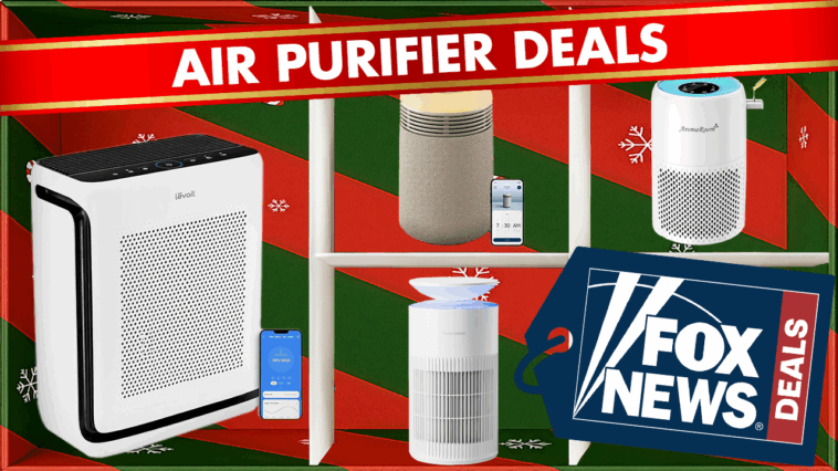 best-black-friday-air-purifier-deals-–-up-to-$200-off-dyson,-levoit-and-more-top-picks