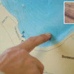 wisconsin-divers-reveal-mysterious-underwater-‘parking-lot’-of-ancient-canoes-preserved-for-millennia