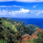 american-tourist-found-stabbed-to-death-in-tobago