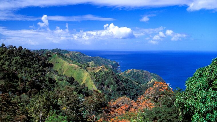 american-tourist-found-stabbed-to-death-in-tobago