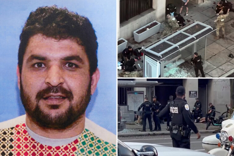 top-trump-intel-official-reveals-dc-terror-suspect-wasn’t-vetted-for-entry-to-us