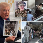 trump-halts-asylum-cases-following-dc-shooting-in-mounting-legal-immigration-clampdown