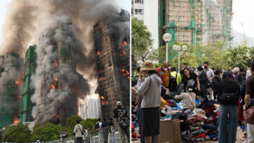 dog-saves-retiree-from-narrowly-being-killed-in-raging-hong-kong-fire-that’s-left-at-least-128-dead