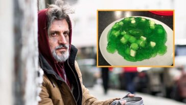 ‘no-thanks,’-says-hungry-homeless-man-after-being-offered-marshmallow-jello-salad