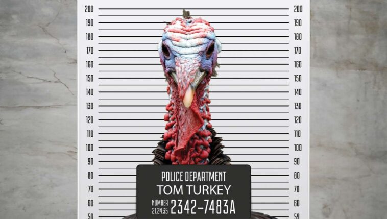 turkey-pardoned-by-biden-administration-4-times-commits-violent-turkey-murder