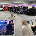 two-victims-shot-at-california-mall-on-black-friday:-police