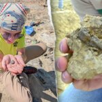 student-unearths-150-million-year-old-dinosaur-fossil-on-first-day-of-montana-dig:-‘very-exciting’