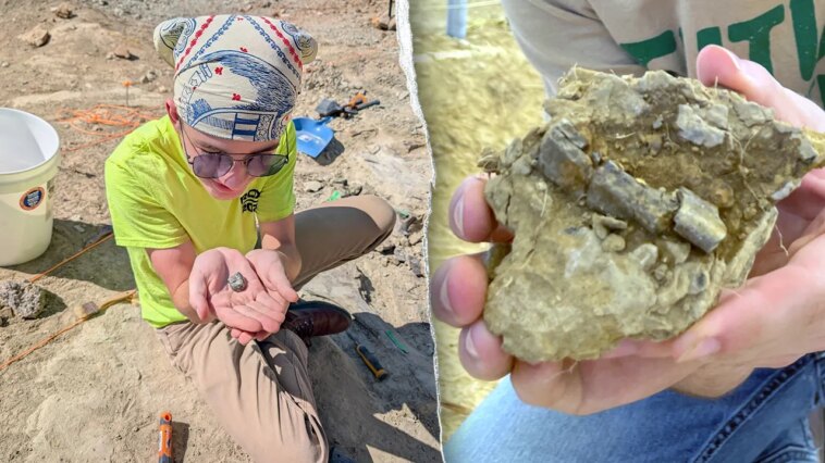 student-unearths-150-million-year-old-dinosaur-fossil-on-first-day-of-montana-dig:-‘very-exciting’
