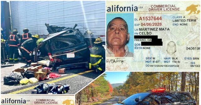 nationwide-raids-nab-250-foreign-cdl-truck-drivers-—-dhs-warns-cartel-exploitation-threatens-homeland-security