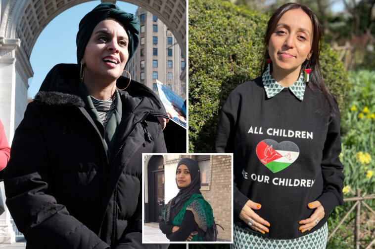 3-dsa-members-battling-for-mamdani’s-albany-seat-are-even-more-to-the-left-than-he-is