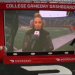 jess-sims-drops-hilarious-nsfw-comment-about-michigan-weather-on-college-gameday