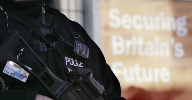 uk1984:-british-businessman-arrested-over-linkedin-picture-of-himself-holding-gun-in-florida