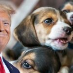 trump-administration-continues-historic-efforts-to-save-lab-animals