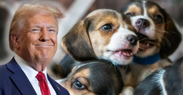 trump-administration-continues-historic-efforts-to-save-lab-animals