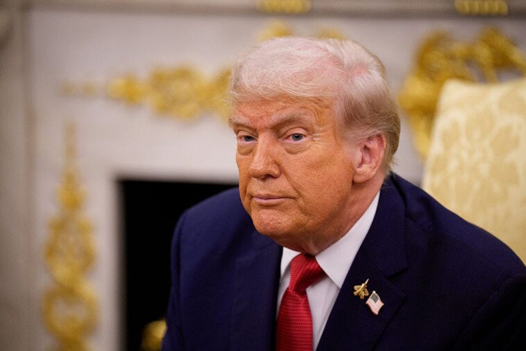 trump-mocks-tennessee-radical-aftyn-behn-over-nashville-hate:-‘it’s-on-tape’