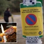 spanish-military-sets-up-‘exclusion-zone’-to-contain-african-swine-fever-—-that-may-have-started-from-a-tainted-sandwich