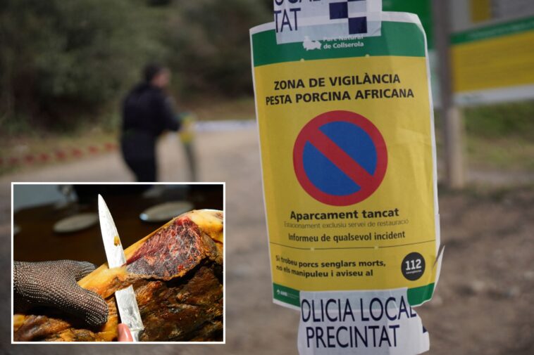 spanish-military-sets-up-‘exclusion-zone’-to-contain-african-swine-fever-—-that-may-have-started-from-a-tainted-sandwich