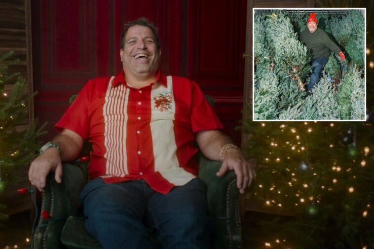 forget-the-mafia-—-nyc’s-real-turf-battles-are-between-cutthroat-christmas-tree-sellers