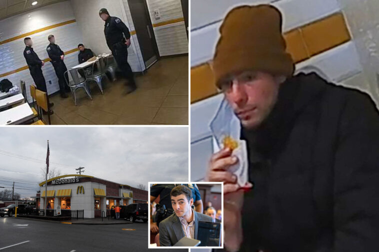 luigi-mangione’s-bushy-eyebrows-‘only-thing’-eagle-eyed-mcdonald’s-manager-noticed-before-calling-911:-‘looks-like-the-ceo-shooter-from-new-york’