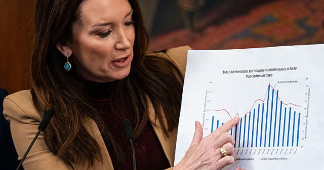 brooke-rollins:-usda-to-review-‘all’-its-programs-‘to-ensure-only-legal-citizens-are-receiving-benefits’