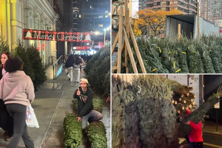 little-known-‘christmas-tree-law’-bans-sidewalk-sales-in-nyc-before-this-date-–-but-it-hasn’t-stopped-a-flurry-of-early-sales