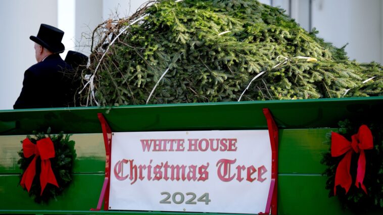 tinsel,-tradition-and-messaging:-the-politics-behind-white-house-holiday-decorations
