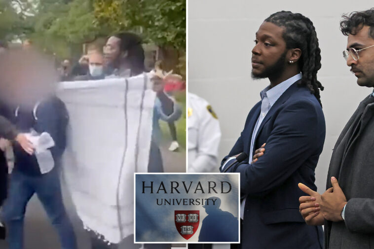 harvard-hires-divinity-school-graduate-who-faced-assault-charges-against-an-israeli-student-at-a-protest
