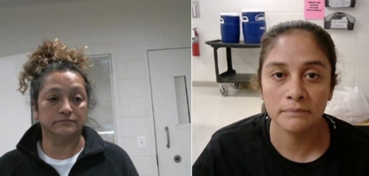 ice-arrests-two-illegal-aliens-for-‘heinous-crimes-against-children’