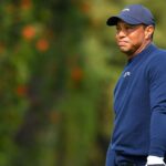 tiger-chipping,-putting,-but-disk-recovery-‘slow’