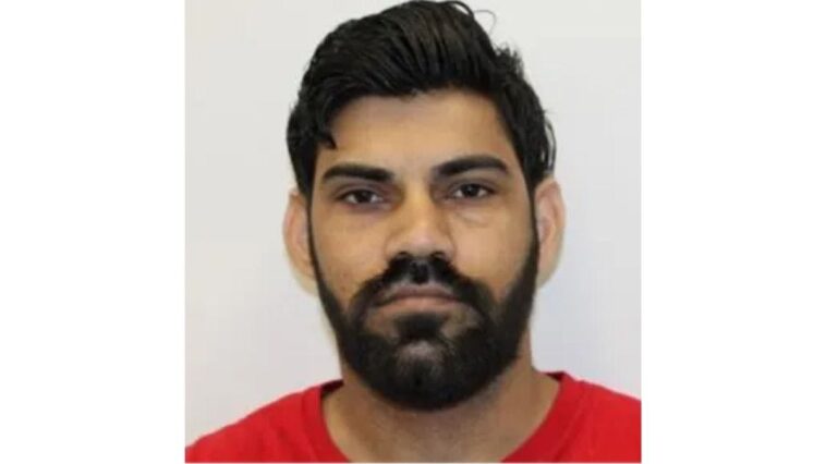 illegal-immigrant-trucker-with-california-license-accused-of-killing-newlyweds-in-tragic-collision