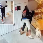 dogwalker-violently-sexually-assaulted-by-homeless-suspect-in-la