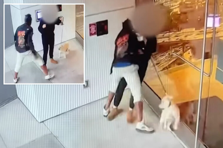 dogwalker-violently-sexually-assaulted-by-homeless-suspect-in-la