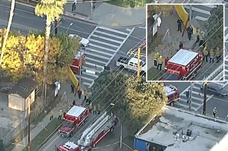 veteran-california-tree-trimmer-dead-in-freak-impalement-accident