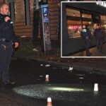 teen-left-paralyzed-by-stray-bullet-at-nyc-football-game:-cops,-sources