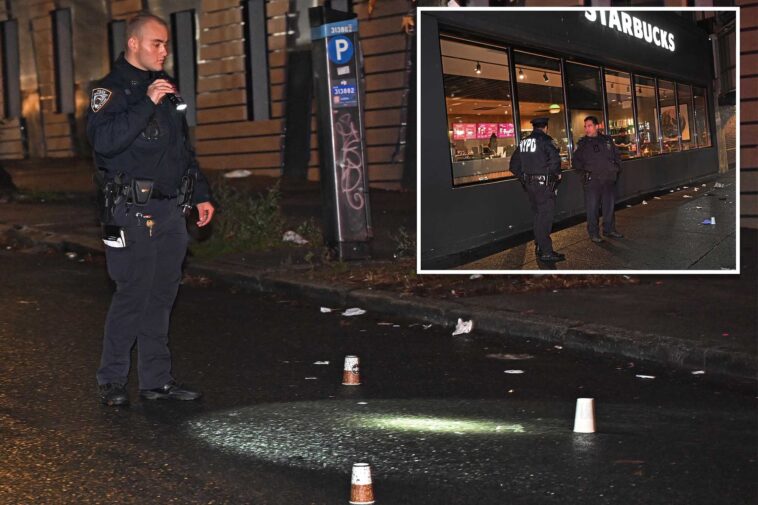 teen-left-paralyzed-by-stray-bullet-at-nyc-football-game:-cops,-sources