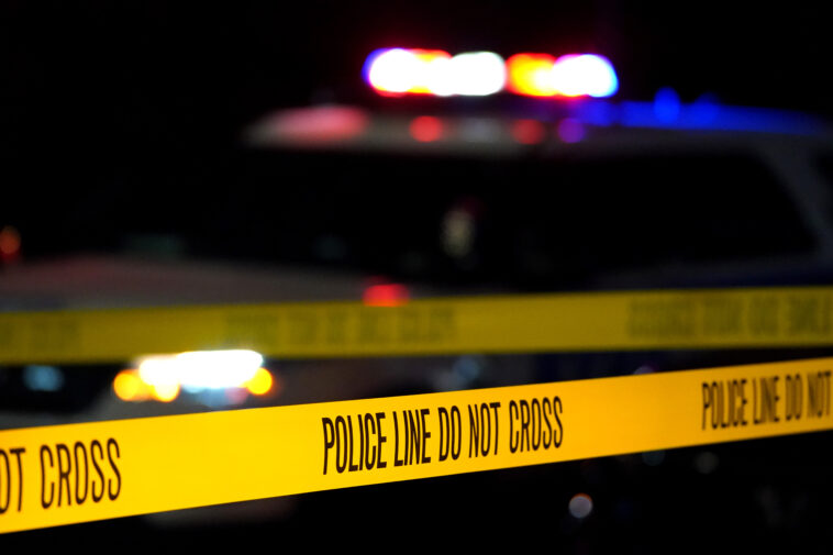 man,-82,-killed-after-bumping-into-elderly-maniac-on-nyc-street:-sources